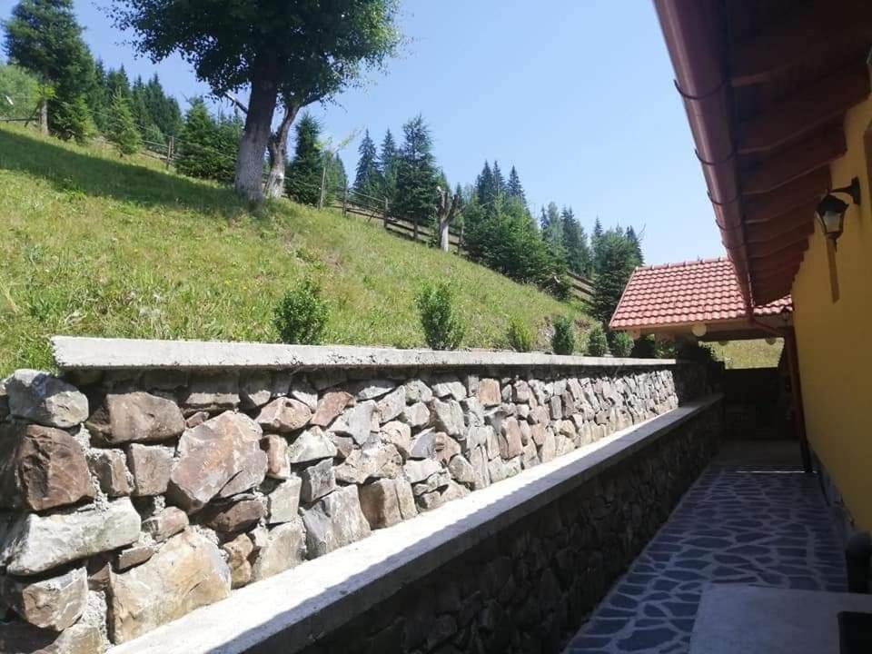 Casa Anghel Villa Bilbor Exterior photo